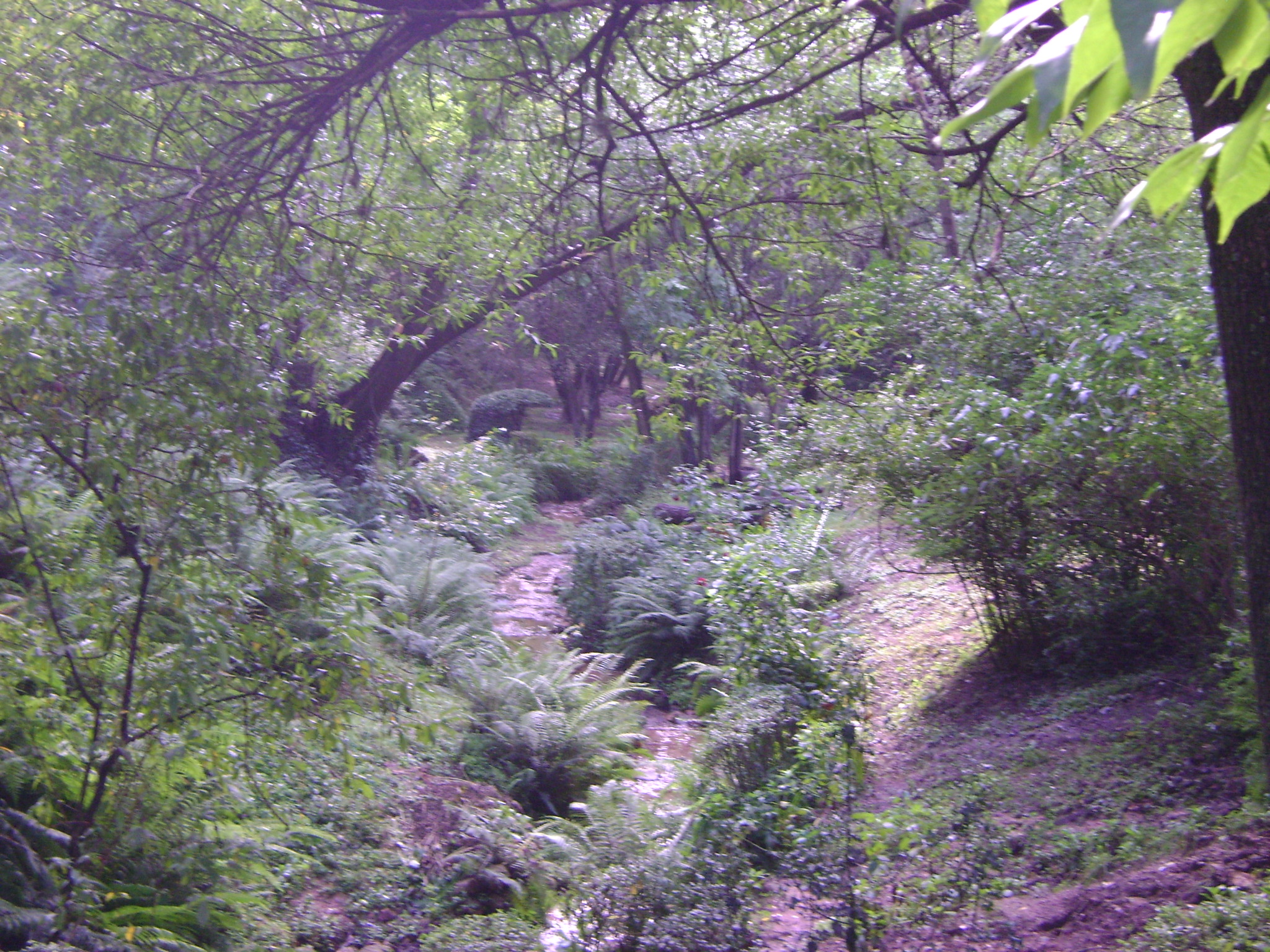 fotos/2011 - Los Reartes/DSC03364.JPG